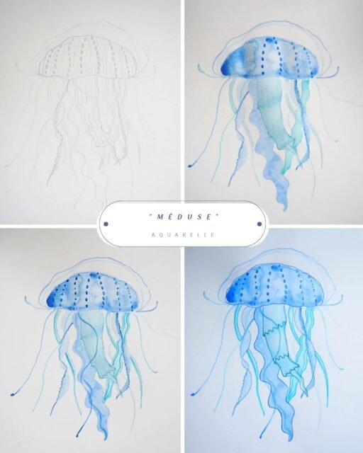 Méduse 🪼 
[Aquarelle - Papier recyclé 250g - Format A4]

❓️L’espèce Turritopsis dohrnii, d’un demi centimètre de diamètre, est capable de revenir à son état juvénile, ce qui lui permet théoriquement d’échapper à la mort. D’où son nom de méduse immortelle... rien que ça ! 

#illustration #aquarelle #meduse #nature #ocean #nantes