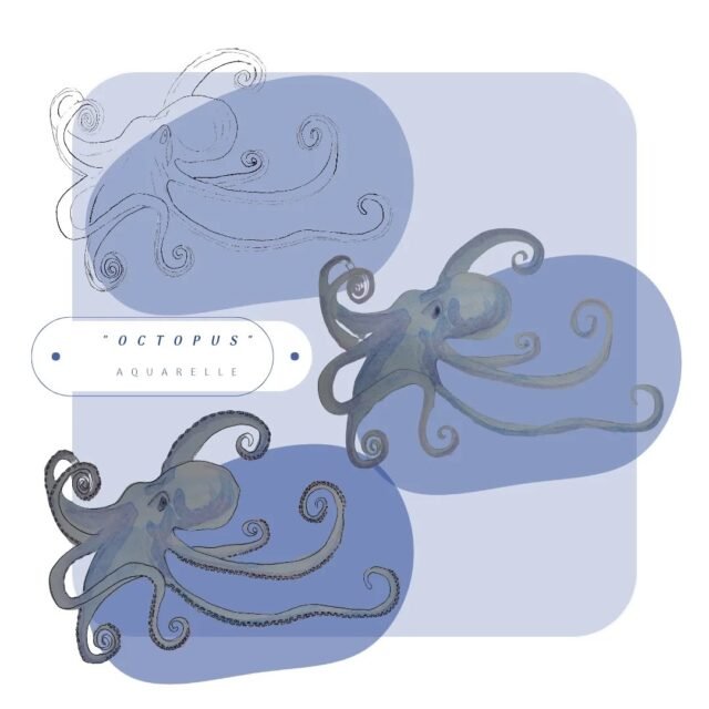 Octopus 🐙
[Aquarelle - Papier recyclé 250g - Format carré 20x20 cm]

❓️ En plus de ses 3 cœurs, la pieuvre possède un cerveau dans chacune de ses 8 tentacules, lui confèrant une intelligence hors normes, notamment celle de reconnaître un individu qui n’est pas de son espèce. 

#illustration #aquarelle #octopus #pieuvre #nature #ocean #nantes