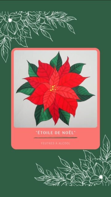 Étoile de Noël 🌟🎅
[Feutres à alcool - Papier layout 70g FSC - Format carré 20x20 cm]

❓️Le poinsettia est associé à une légende mexicaine, d’où il est originaire, qui raconte l'histoire d'une petite fille pauvre offrant des mauvaises herbes à l'enfant Jésus tout juste né, qui se sont miraculeusement transformées en ces magnifiques fleurs rouges. Cette plante est ainsi devenue un des symboles de Noël !

#illustration #promarker #fleur #noel #christmas #legende #nature #nantes