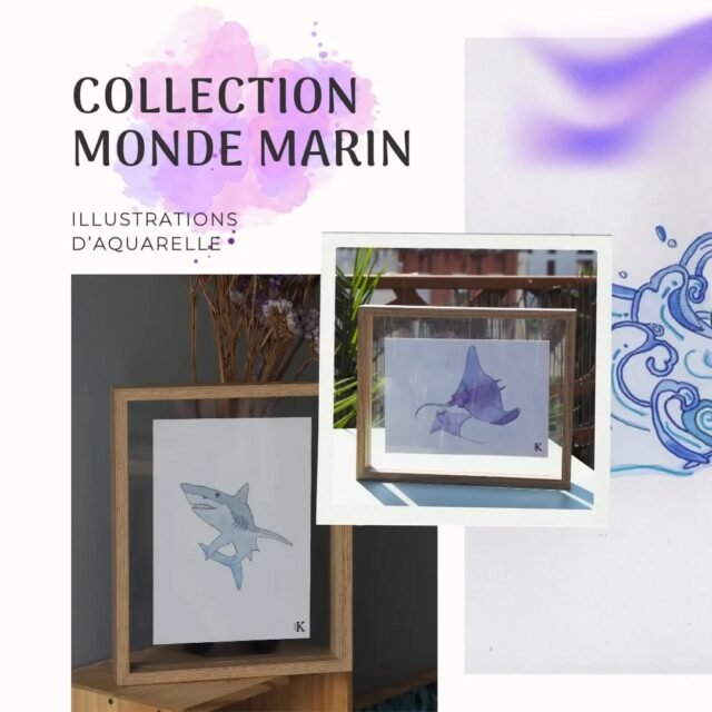 Collection Monde Marin 🌊

Des illustrations originales à l’aquarelle,
celles qui ont donné naissance au calendrier perpétuel ✨

Depuis toujours, l’Océan m’apaise, me fascine et m’inspire.
Par mes illustrations, je souhaite partager sa beauté et sa richesse, mais aussi sensibiliser à l’importance de protéger ce monde fragile et silencieux.

Les illustrations originales de la collection Monde Marin
sont disponibles sur le Kaleido-shop 👉 lien en bio

#illustration #aquarelle #mondemarin #océan #artengagé #nature #nantes