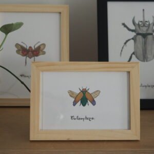 Illustration aquarelle représentant un coléptère