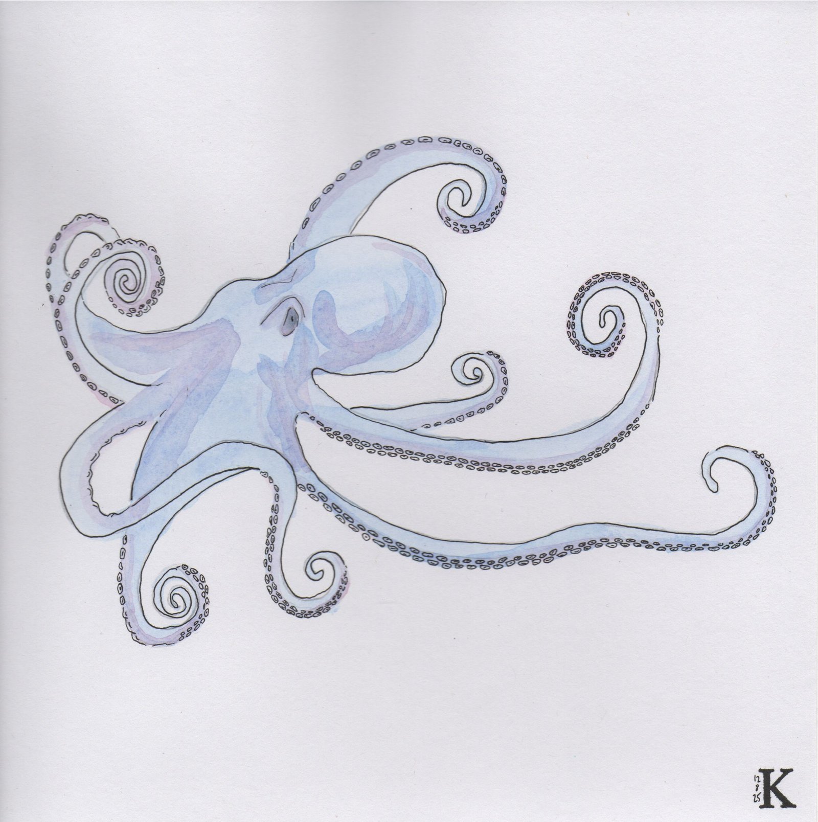 Octopus – Image 2