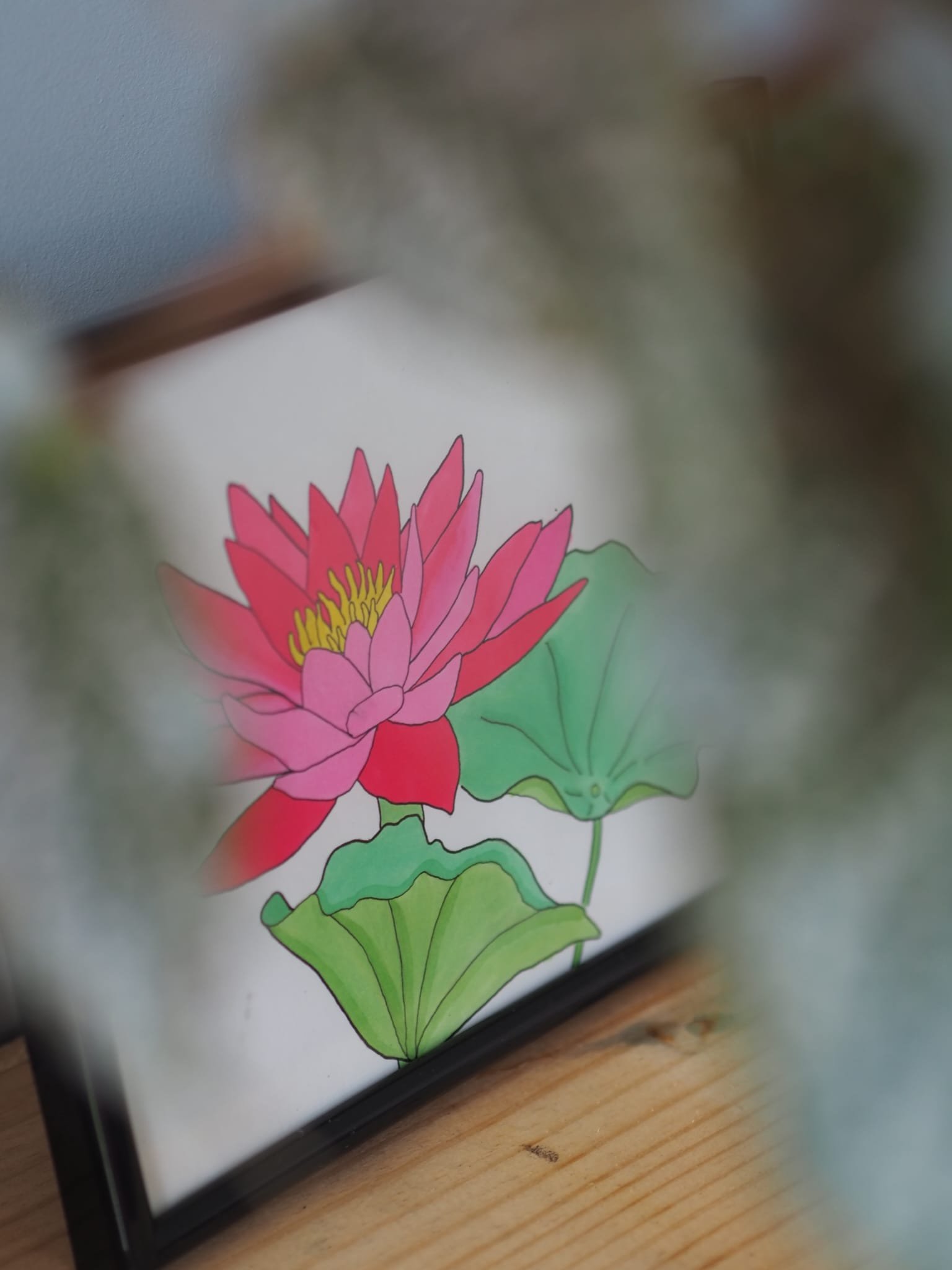 Nelumbo Nucifera – Image 3