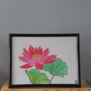 Illustration botanique de lotus Nelumbo Nucifera
