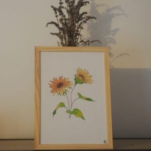 Illustration botanique de tournesol