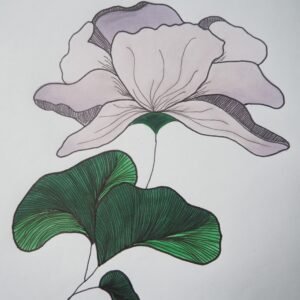 Illustration botanique de fleur