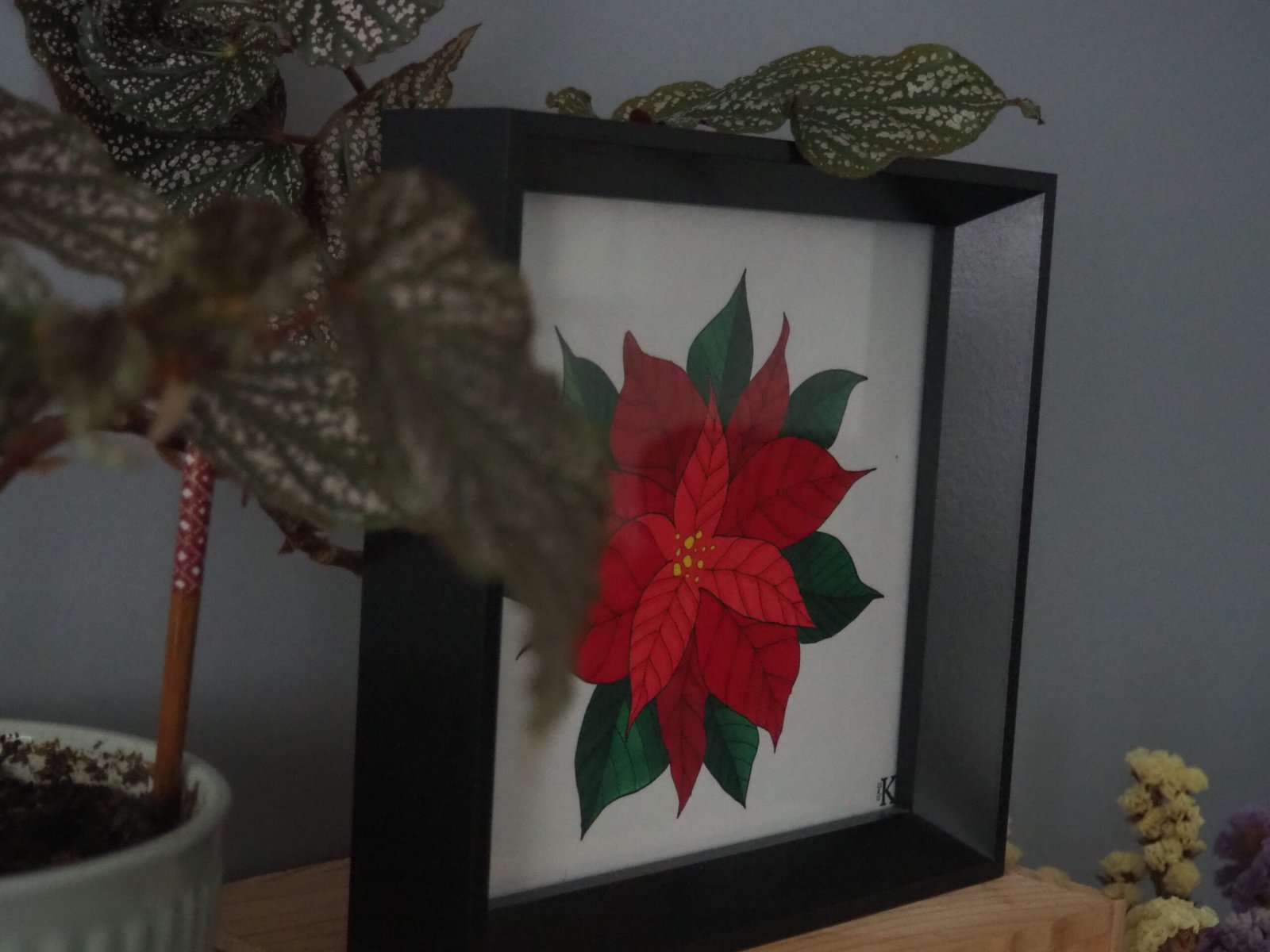 Étoile de Noël – Image 4