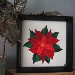 Illustration botanique de poinsettia