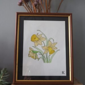 Illustration botanique de narcisse